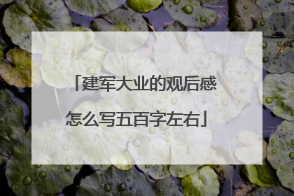 建军大业的观后感怎么写五百字左右