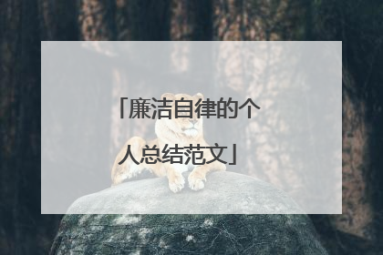 廉洁自律的个人总结范文