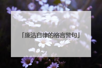 廉洁自律的格言警句