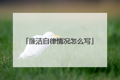 廉洁自律情况怎么写