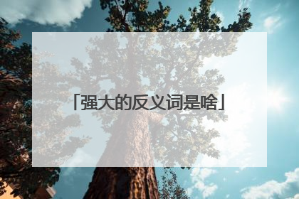 强大的反义词是啥