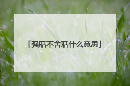 强聒不舍聒什么意思