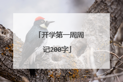 开学第一周周记200字