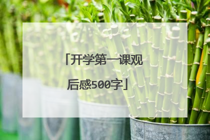 开学第一课观后感500字