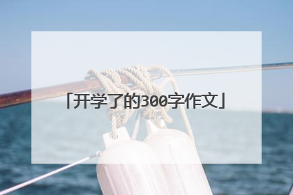 开学了的300字作文