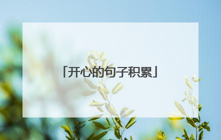 开心的句子积累