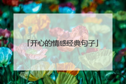 开心的情感经典句子