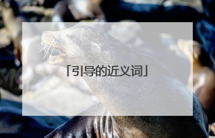 引导的近义词