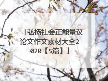 弘扬社会正能量议论文作文素材大全2020【5篇】