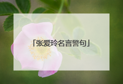 张爱玲名言警句