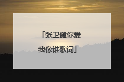 张卫健你爱我像谁歌词