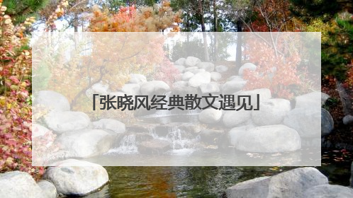 张晓风经典散文遇见