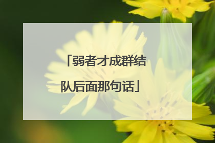 弱者才成群结队后面那句话