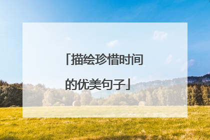 描绘珍惜时间的优美句子