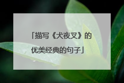 描写《犬夜叉》的优美经典的句子