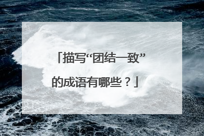 描写“团结一致”的成语有哪些?