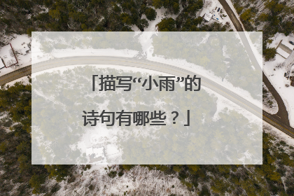 描写“小雨”的诗句有哪些？
