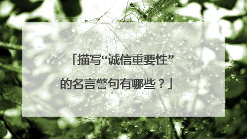 描写“诚信重要性”的名言警句有哪些？