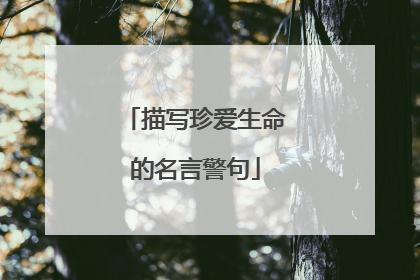 描写珍爱生命的名言警句