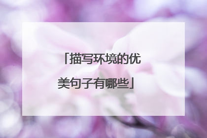 描写环境的优美句子有哪些