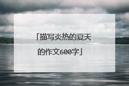 描写炎热的夏天的作文600字