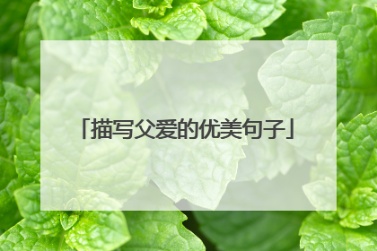 描写父爱的优美句子