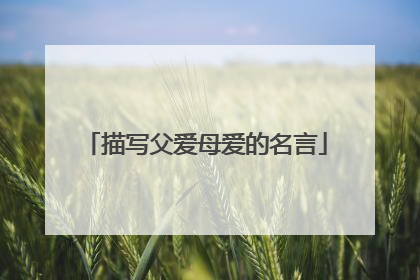 描写父爱母爱的名言