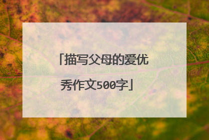 描写父母的爱优秀作文500字