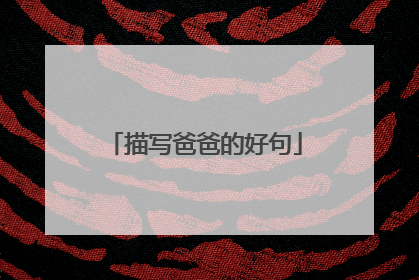 描写爸爸的好句