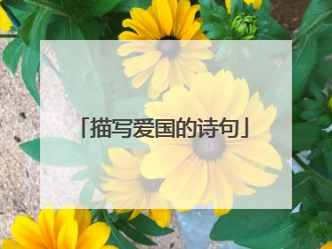 描写爱国的诗句