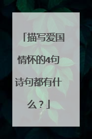 描写爱国情怀的4句诗句都有什么?