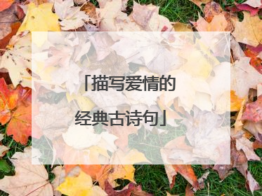 描写爱情的经典古诗句