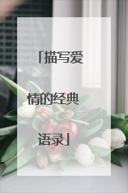 描写爱情的经典语录