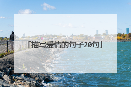描写爱情的句子20句