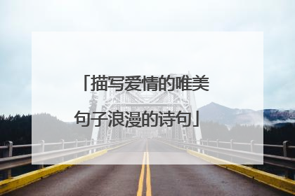 描写爱情的唯美句子浪漫的诗句