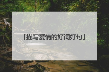 描写爱情的好词好句