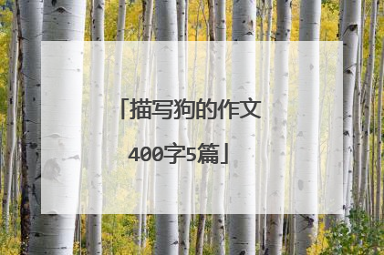 描写狗的作文400字5篇