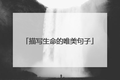 描写生命的唯美句子