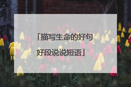 描写生命的好句好段说说短语