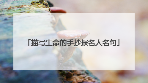 描写生命的手抄报名人名句