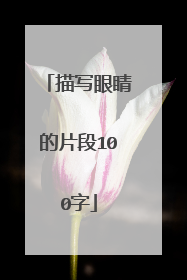 描写眼睛的片段100字