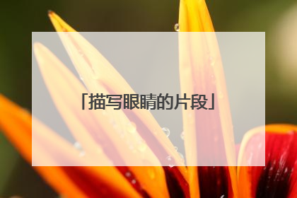 描写眼睛的片段