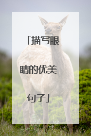 描写眼睛的优美句子