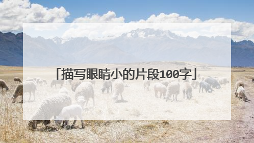 描写眼睛小的片段100字