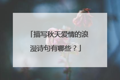描写秋天爱情的浪漫诗句有哪些？