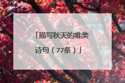 描写秋天的唯美诗句(77条)