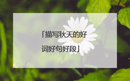 描写秋天的好词好句好段