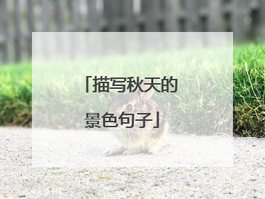 描写秋天的景色句子