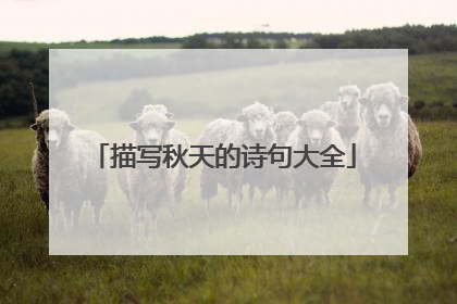 描写秋天的诗句大全