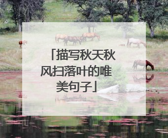 描写秋天秋风扫落叶的唯美句子